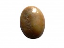 850132 Kaboszon fossil coral , ok.: 16x12,1x5,3mm