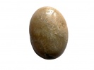 850248 Kaboszon fossil coral , ok.: 18,3x13,2x5,8mm