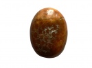 850385 Kaboszon fossil coral , ok.: 20,3x15,1x5,7mm