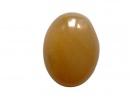 850522 Kaboszon fossil coral , ok.: 16x12,1x5,5mm