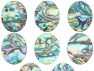 910400A Kaboszon Paua Abalone 26x21mm